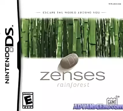 Image n° 1 - box : Zenses - Rainforest